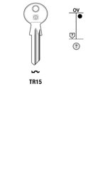 Toon details voor Silca Cilindersleutel brass TR15 Afbeelding van Silca Cilindersleutel brass TR15