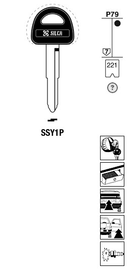 Afbeelding van Silca Autosleutel plastic kop brass SSY1P