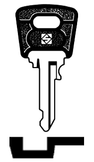 Afbeelding van Silca Autosleutel plastic kop staal NE21P